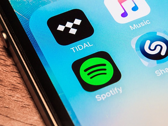 Spotify_icon_crop